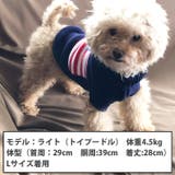 犬 服 犬服 | K-city | 詳細画像2