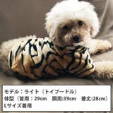 犬 服 犬服 犬の服 パーカー トレーナー トラ 寅 干支 正月 ドッグウェア | K-city | 詳細画像2