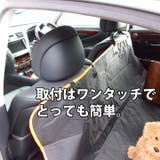 ドライブシート ペット用 後部座席用 | K-city | 詳細画像6