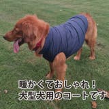 犬 服 犬服 | K-city | 詳細画像2