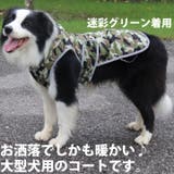 犬 服 犬服 | K-city | 詳細画像2