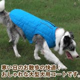 犬 服 犬服 | K-city | 詳細画像2