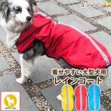 犬 服 犬服 | K-city | 詳細画像1 
