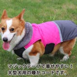 犬 服 犬服 | K-city | 詳細画像2