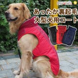 犬 服 犬服 | K-city | 詳細画像1 