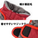 犬 服 犬服 | K-city | 詳細画像6 