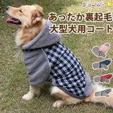 犬 服 犬服 | K-city | 詳細画像1