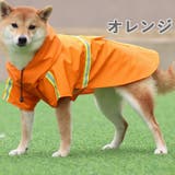 レインコート 大型犬 犬 | K-city | 詳細画像5 