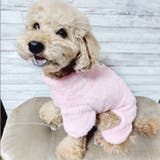 犬 服 犬服 | K-city | 詳細画像3