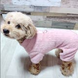 犬 服 犬服 | K-city | 詳細画像4
