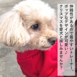 犬 服 犬服 | K-city | 詳細画像6 