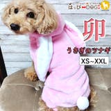 犬 服 犬服 | K-city | 詳細画像1 