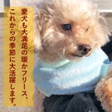 犬 服 犬服 | K-city | 詳細画像6 