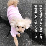 犬 服 犬服 | K-city | 詳細画像2 