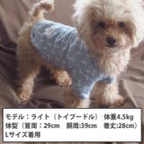 犬 服 犬服 犬の服 カットソー Tシャツ いかり柄 ドッグウェア | K-city | 詳細画像2 