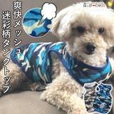 犬 服 犬服 | K-city | 詳細画像1