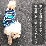 犬 服 犬服 | K-city | 詳細画像2