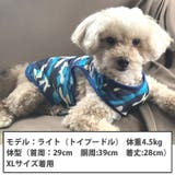 犬 服 犬服 | K-city | 詳細画像3