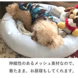 犬 服 犬服 | K-city | 詳細画像4
