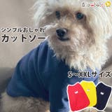 犬 服 犬服 犬の服 カットソー Tシャツ ジャケット ドッグウェア | K-city | 詳細画像1 