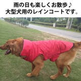 レインコート 大型犬 犬 | K-city | 詳細画像2 