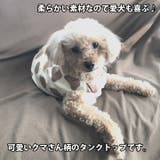 犬 服 犬服 | K-city | 詳細画像3