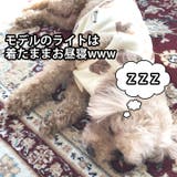 犬 服 犬服 | K-city | 詳細画像4