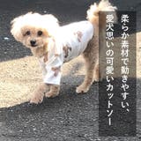 犬 服 犬服 犬の服 Tシャツ カットー くま 袖あり ドッグウェア | K-city | 詳細画像2