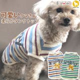 犬 服 犬服 | K-city | 詳細画像1 