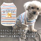 犬 服 犬服 | K-city | 詳細画像2 