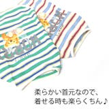 犬 服 犬服 | K-city | 詳細画像4 