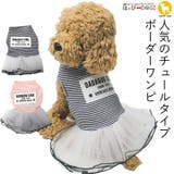 犬 服 犬服 | K-city | 詳細画像1 