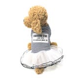 犬 服 犬服 | K-city | 詳細画像2 