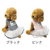 犬 服 犬服 | K-city | 詳細画像4 