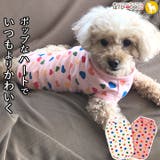 犬 服 犬服 犬の服 タンクトップ ハート柄 着せやすい 袖なし ドッグウェア | K-city | 詳細画像1 