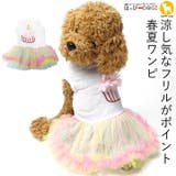 犬 服 犬服 | K-city | 詳細画像1 