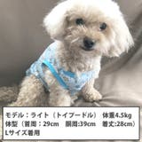 犬 服 犬服 | K-city | 詳細画像5 