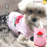 犬 服 犬服 | K-city | 詳細画像1