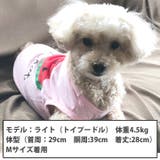 犬 服 犬服 | K-city | 詳細画像3