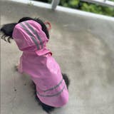犬 レインコート カッパ | K-city | 詳細画像3