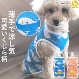 犬 服 犬服 いぬ 犬の服 タンクトップ 袖なし 薄手 くじら柄 ドッグウェア | K-city | 詳細画像1 