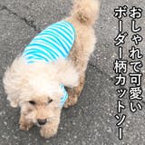 犬 服 犬服 | K-city | 詳細画像2 
