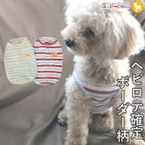 犬 服 犬服 | K-city | 詳細画像1