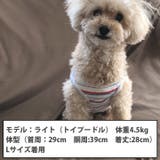 犬 服 犬服 | K-city | 詳細画像4