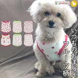 犬 服 犬服 | K-city | 詳細画像1