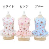 犬 服 犬服 | K-city | 詳細画像5 