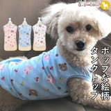 犬 服 犬服 | K-city | 詳細画像1 