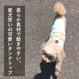 犬 服 犬服 いぬ 犬の服 着せやすい タンクトップ ドッグウェア | K-city | 詳細画像2