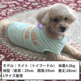犬 服 犬服 いぬ 犬の服 着せやすい タンクトップ ドッグウェア | K-city | 詳細画像3
