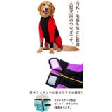 犬 服 犬服 | K-city | 詳細画像2 